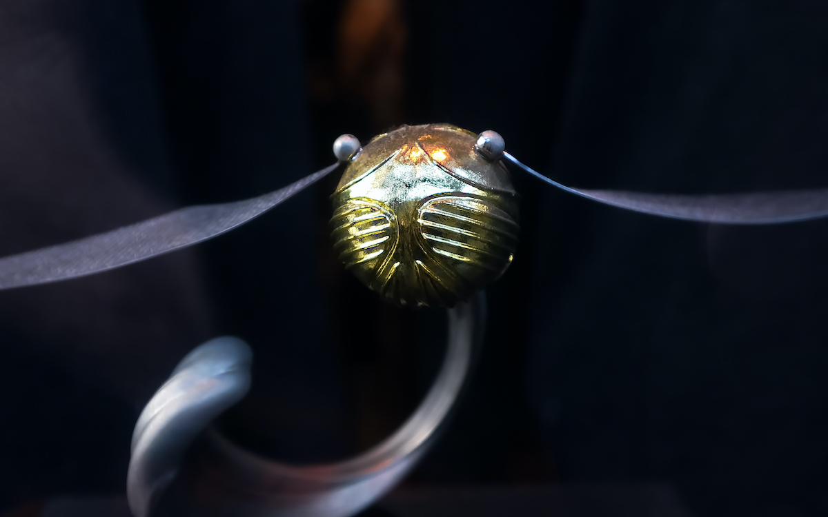 Шахбокс, квиддич, боссабол: как изобретаются новые виды спорта