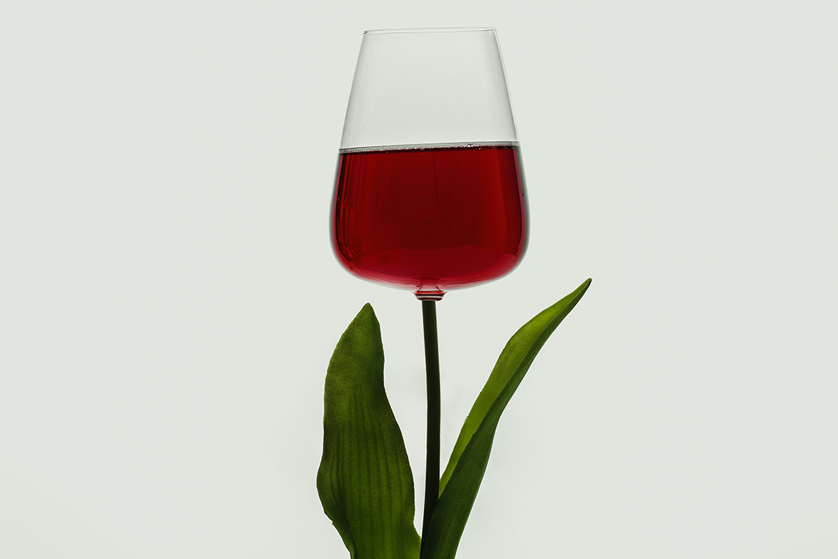 Сомелье рекомендует дарить врагу Domaine Duroché Lavaux St Jacques из «пино нуара»