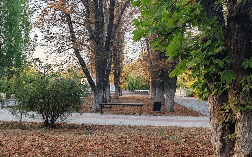 Фото: РБК Черноземье