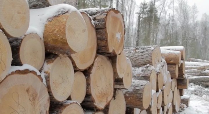 Фото: РБК Пермь