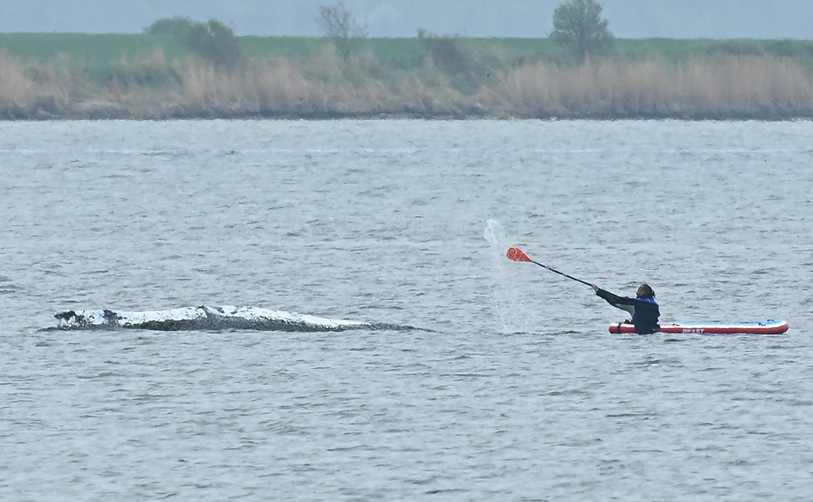 Jonas Walzberg / Reuters