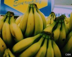 Наркотики и бананы – рекордный улов таможни