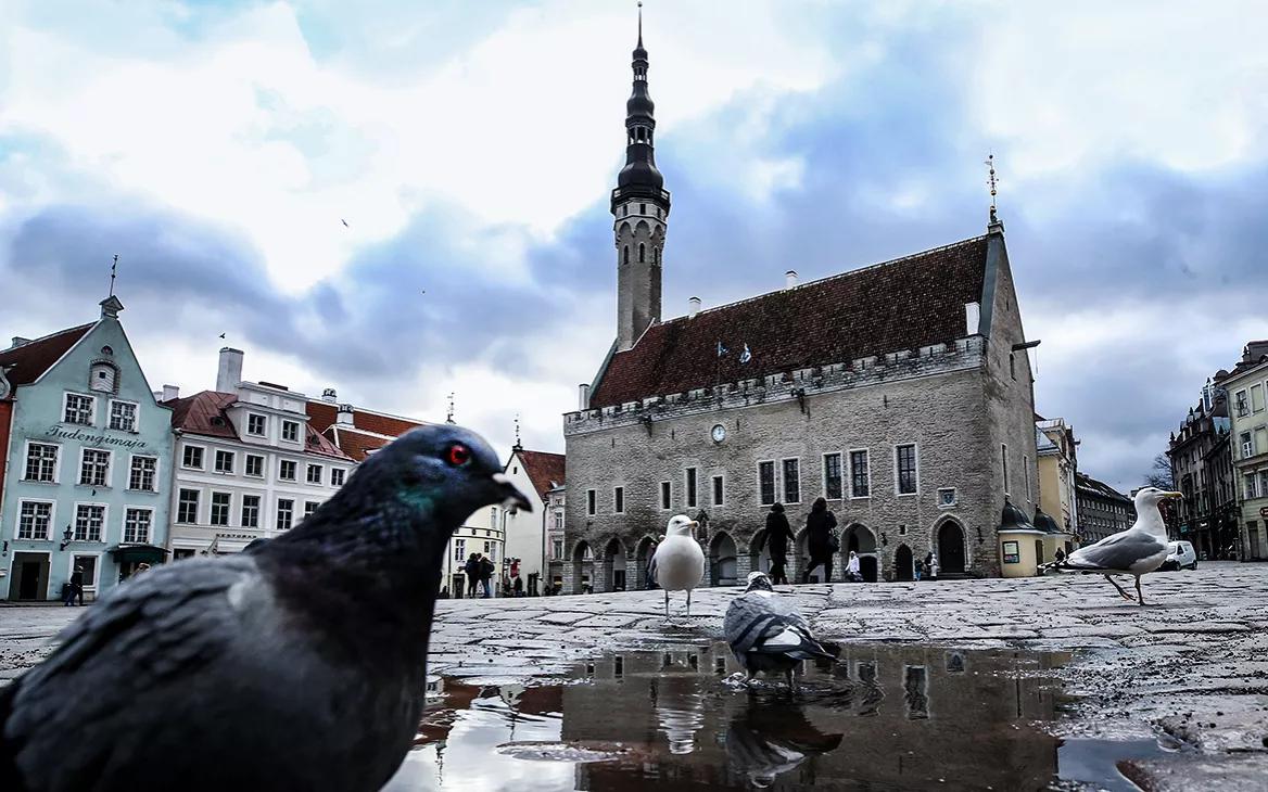 Эстония предложит запретить россиянам въезд в ЕС
