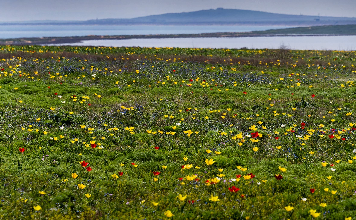 Дмитрий Макеев / РИА Новости