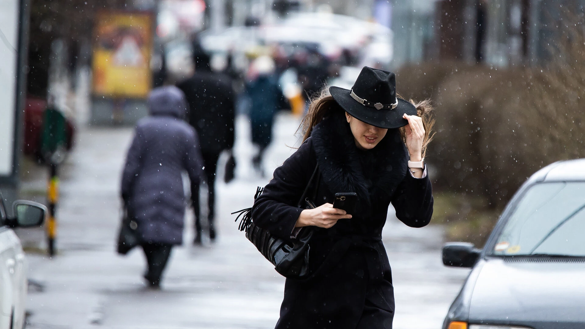 Александр Подгорчук