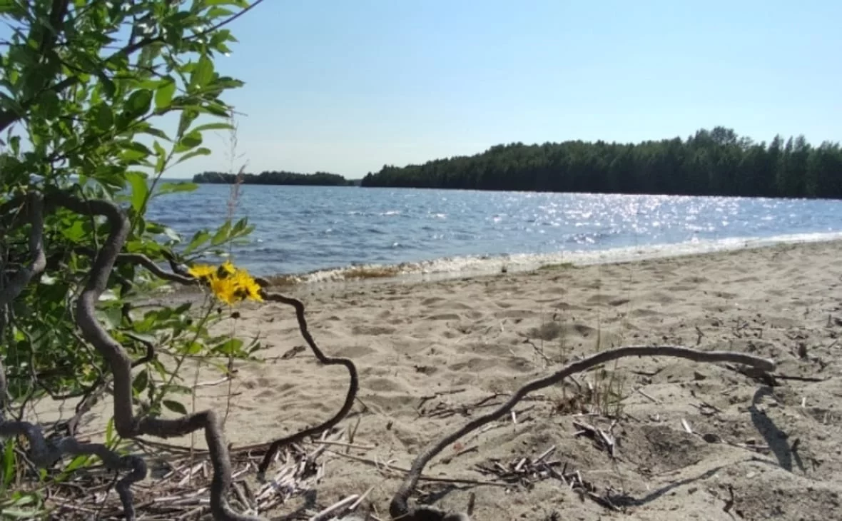 РБК Карелия