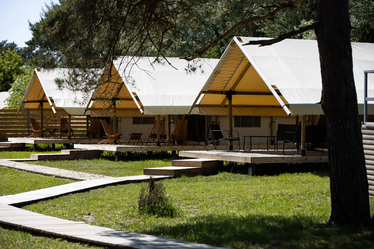 Александр Подгорчук