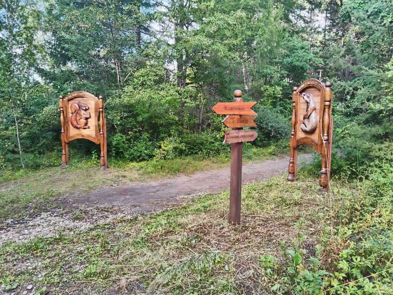 .Экотропа в Свободном