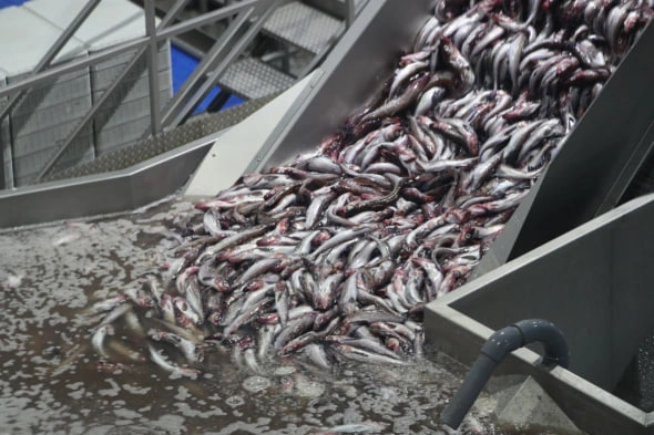 Фото: Правительство Сахалинской области