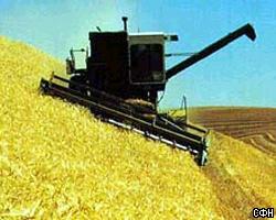 А.Гордеев: В 2003г. урожай зерна сократится на 10 млн т. 