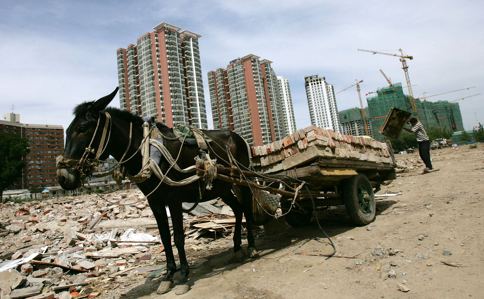 Фото: China Photos / Getty Images