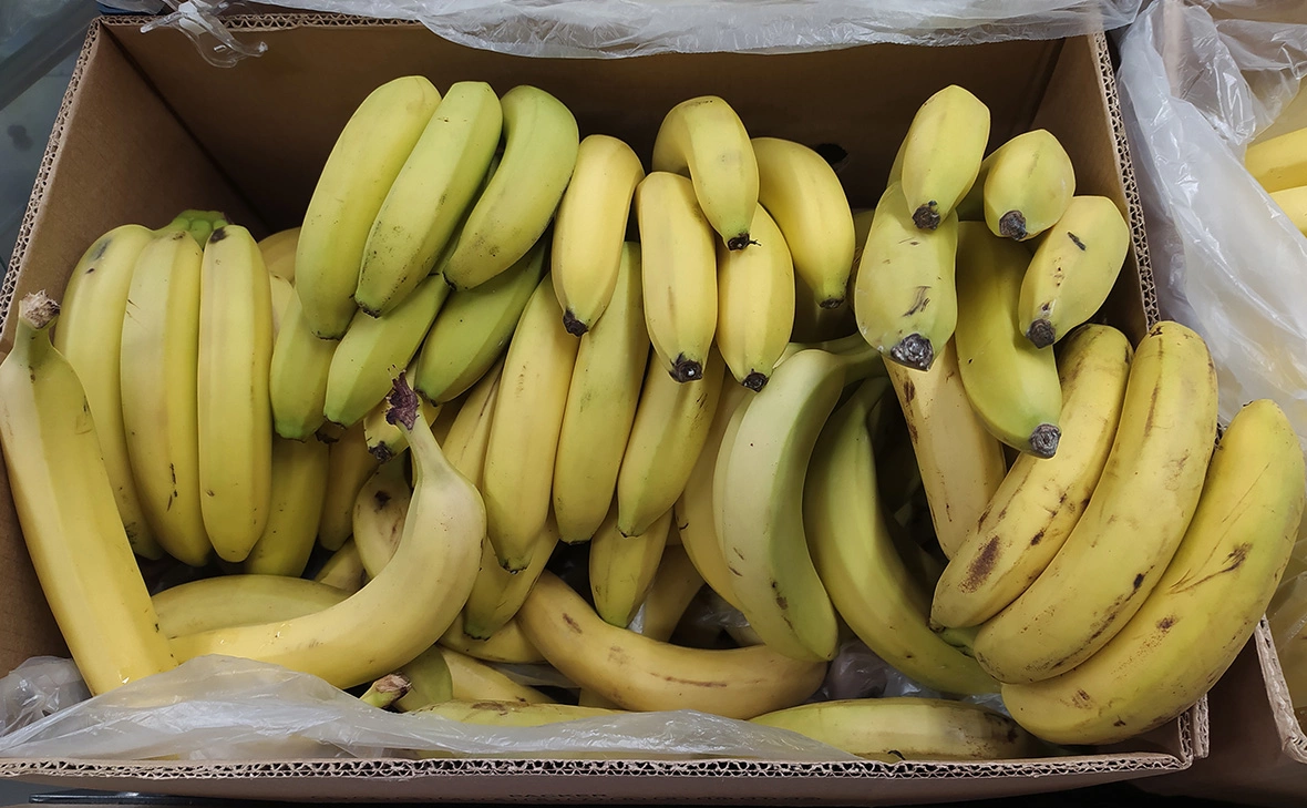 Максим Константинов / Global Look Press