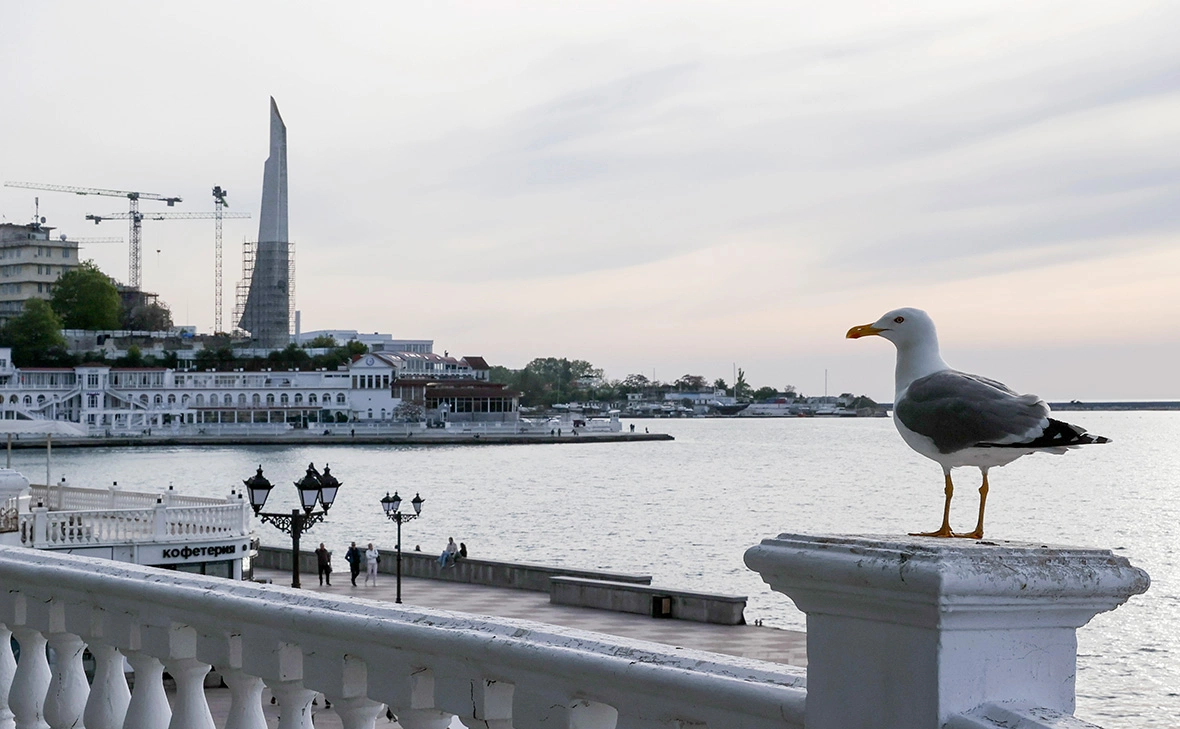 Сергей Мальгавко / ТАСС