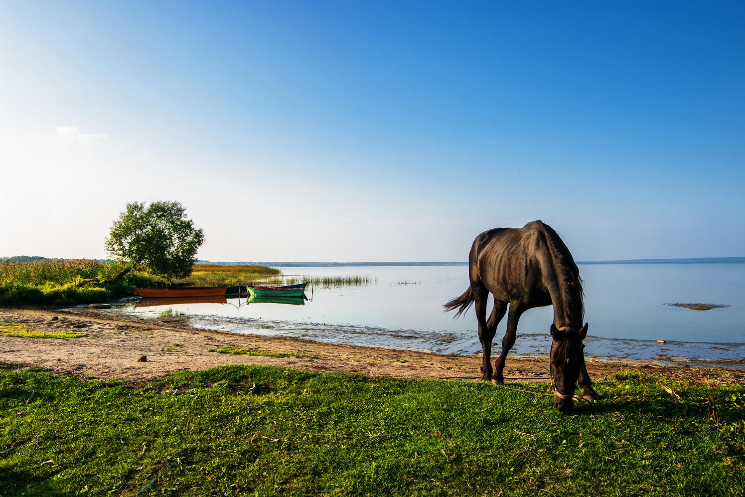 Фото: ZVIAGIN ALEKSEI/shutterstock/fotodom