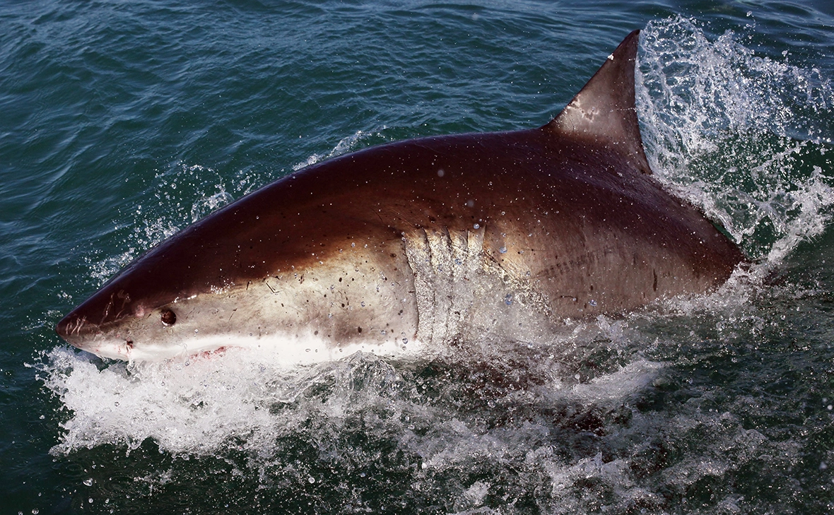 Dan Kitwood / Getty Images