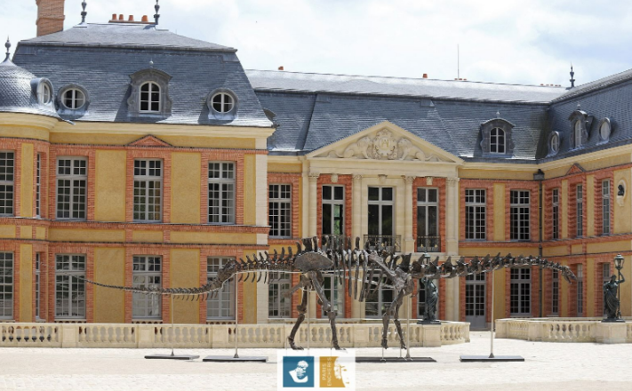 Аукционный дом Barbarossa