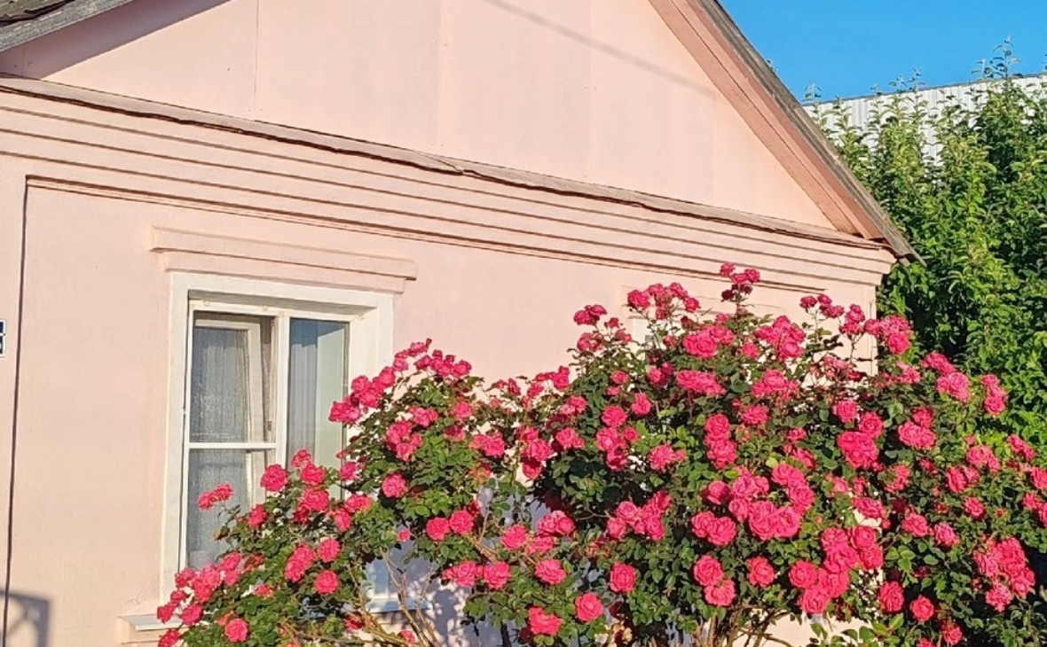 РБК Черноземье