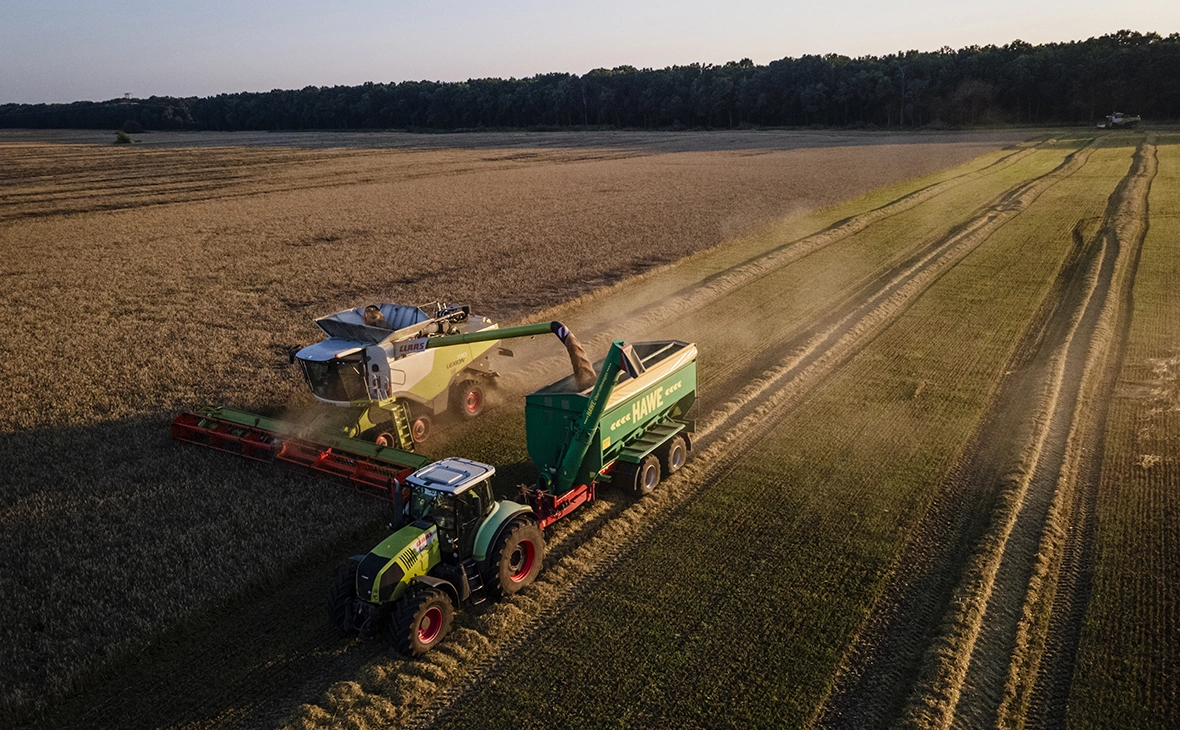Ed Ram / Getty Images