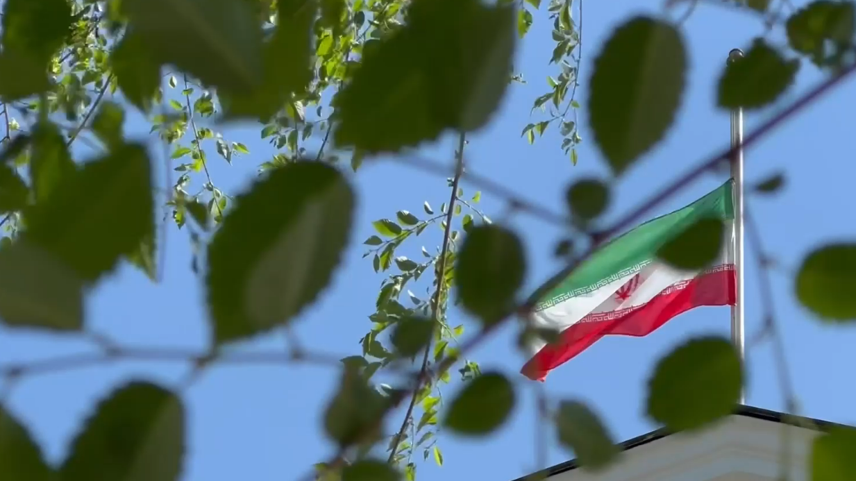 Как москвичи несут цветы к посольству Ирана после авиакатастрофы