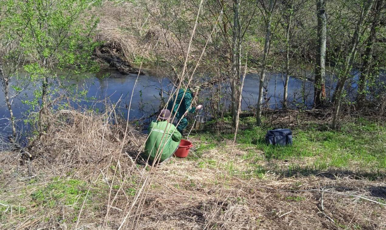 Фото: Управление Росприроднадзора по Нижегородской области и Республике Мордовия