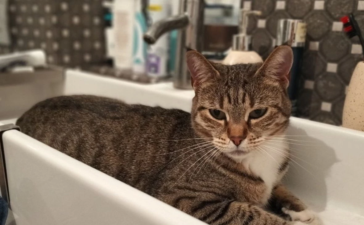 Галина Торхова / Om1