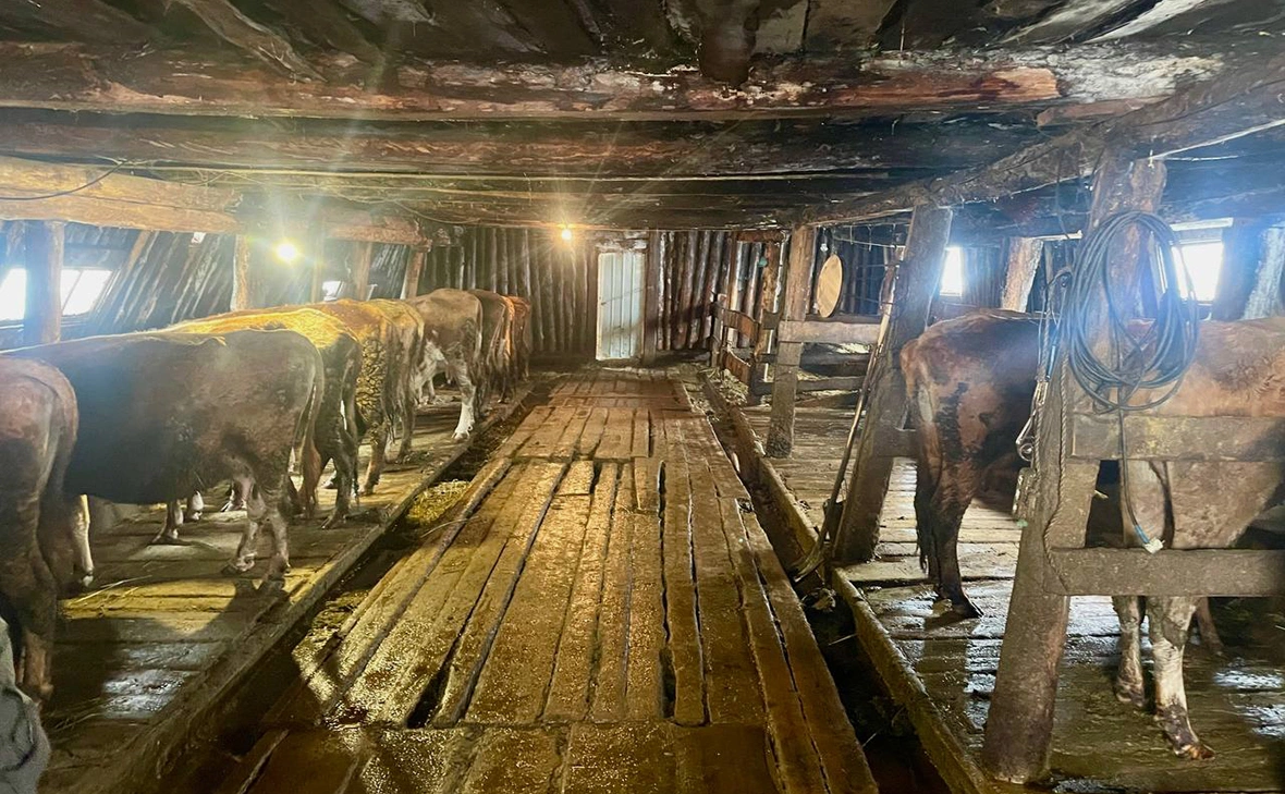 СУ СК России по Республике Саха (Якутия)