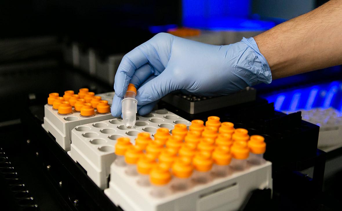 Фото:Frank Molter / dpa / Global Look Press