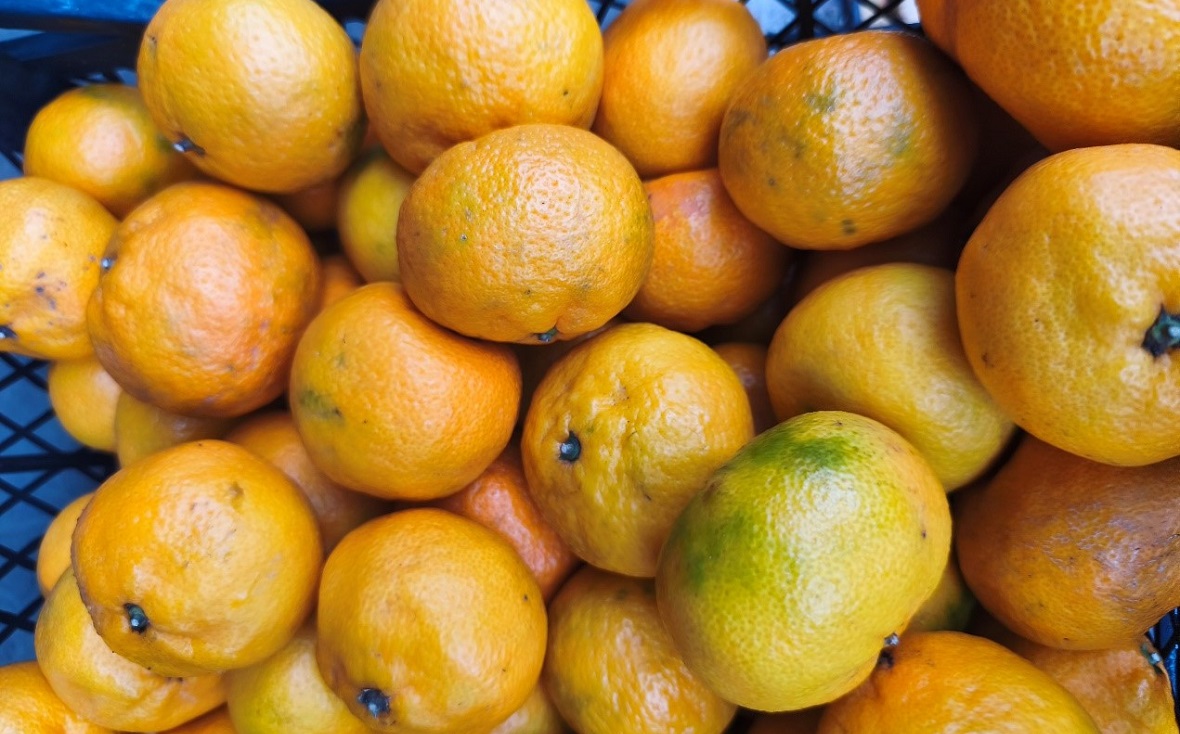 Фото: Управление Россельхознадзора по РБ