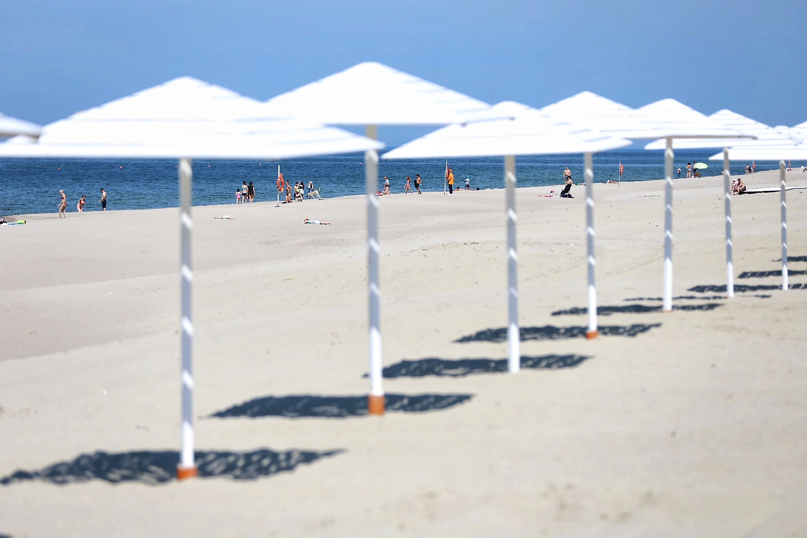 Александр Подгорчук