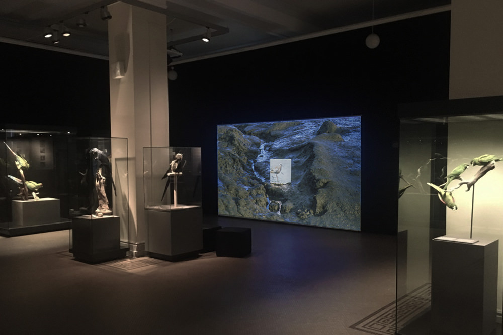 Работы проекта CUSP в разных музеях