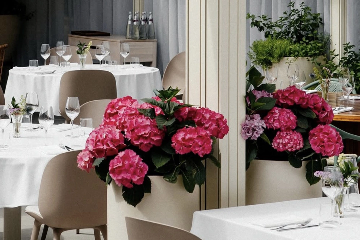 Artest-Chef’s Table