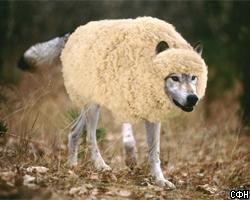 Овца считает себя собакой
