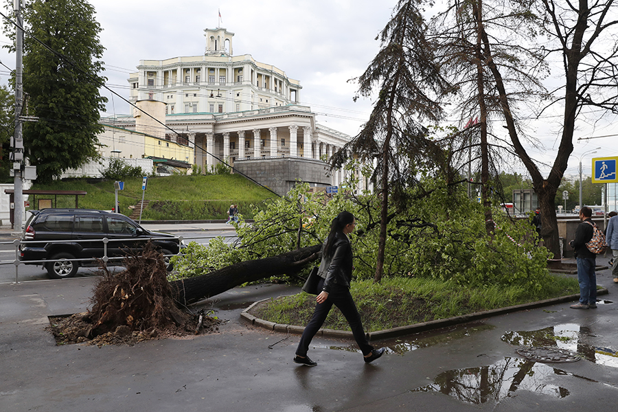 Последствия урагана в Москве


