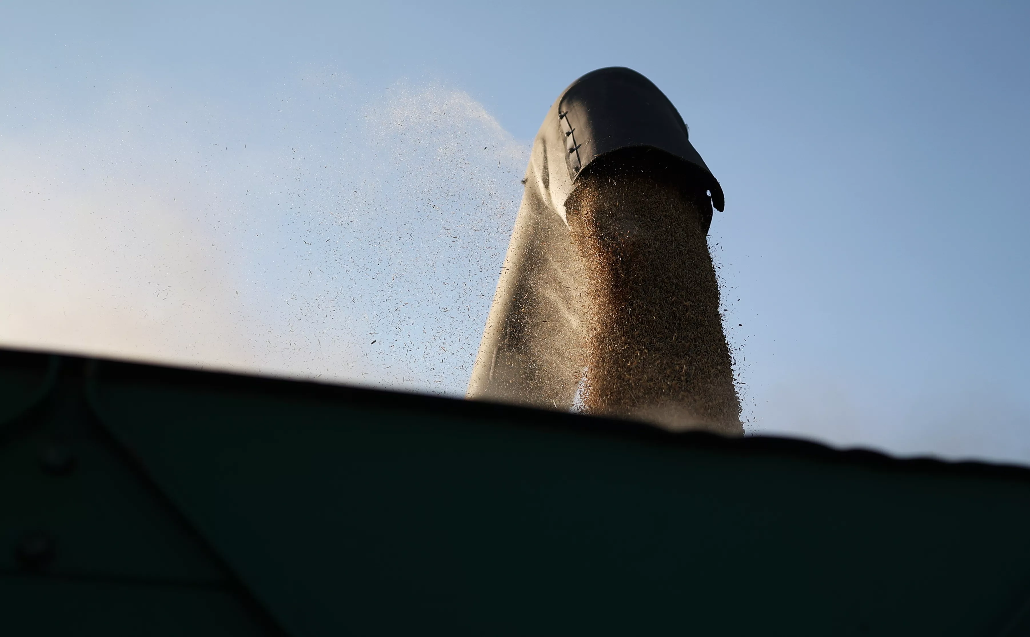 Виталий Тимкив / РИА Новости