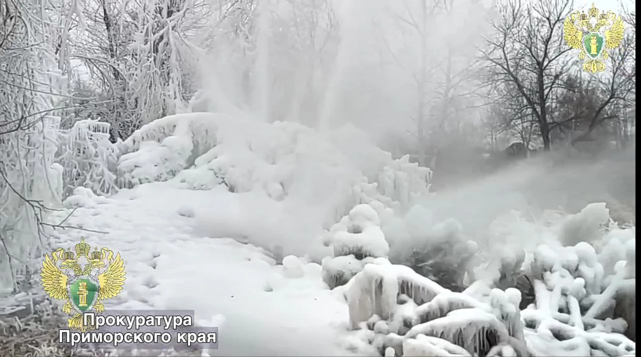 пресс-служба прокуратуры Приморского края, скриншот видео