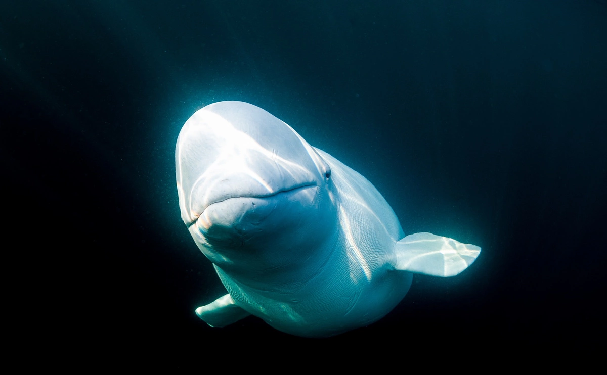  Юрий Смитюк / ТАСС