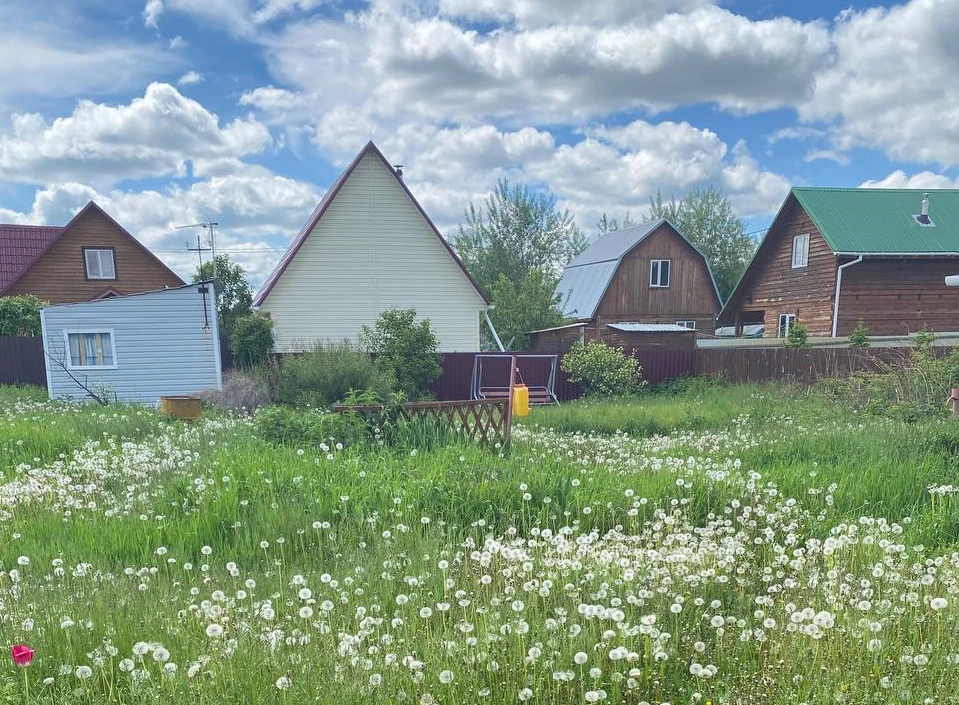 РБК Новосибирск