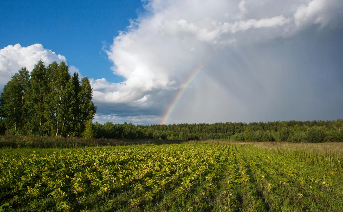 Игорь Подгорный / РИА Новости