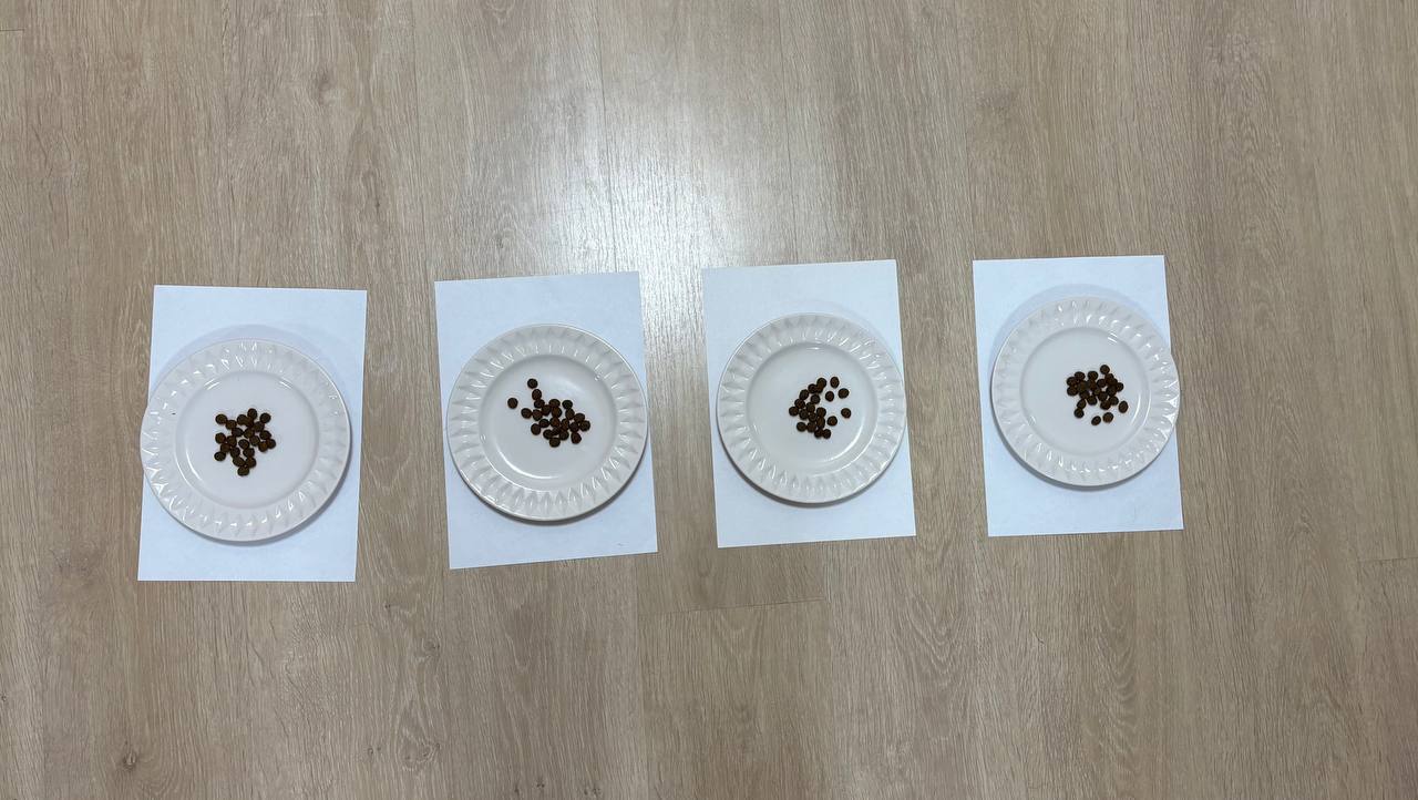 Четыре таблички с различными диапазонами значений по индексу в пунктах. Таблички перевернули и перемешали и на каждое положили любимое лакомство животного в одинаковом количестве