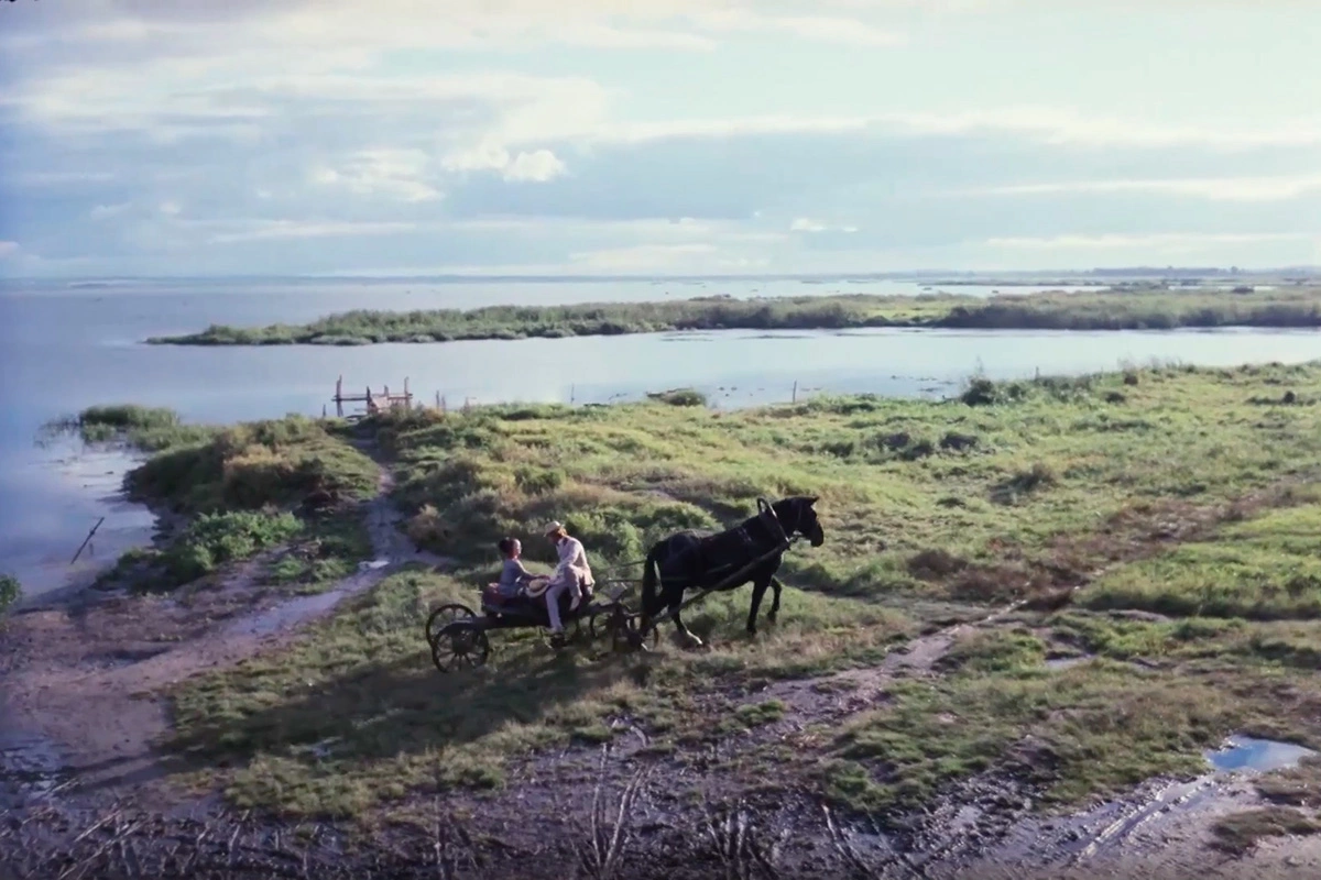 На общем плане видно, что никакой стены поблизости нет, кадр из фильма «Мой ласковый и нежный зверь», режиссер Эмиль Лотяну, 1978 год
