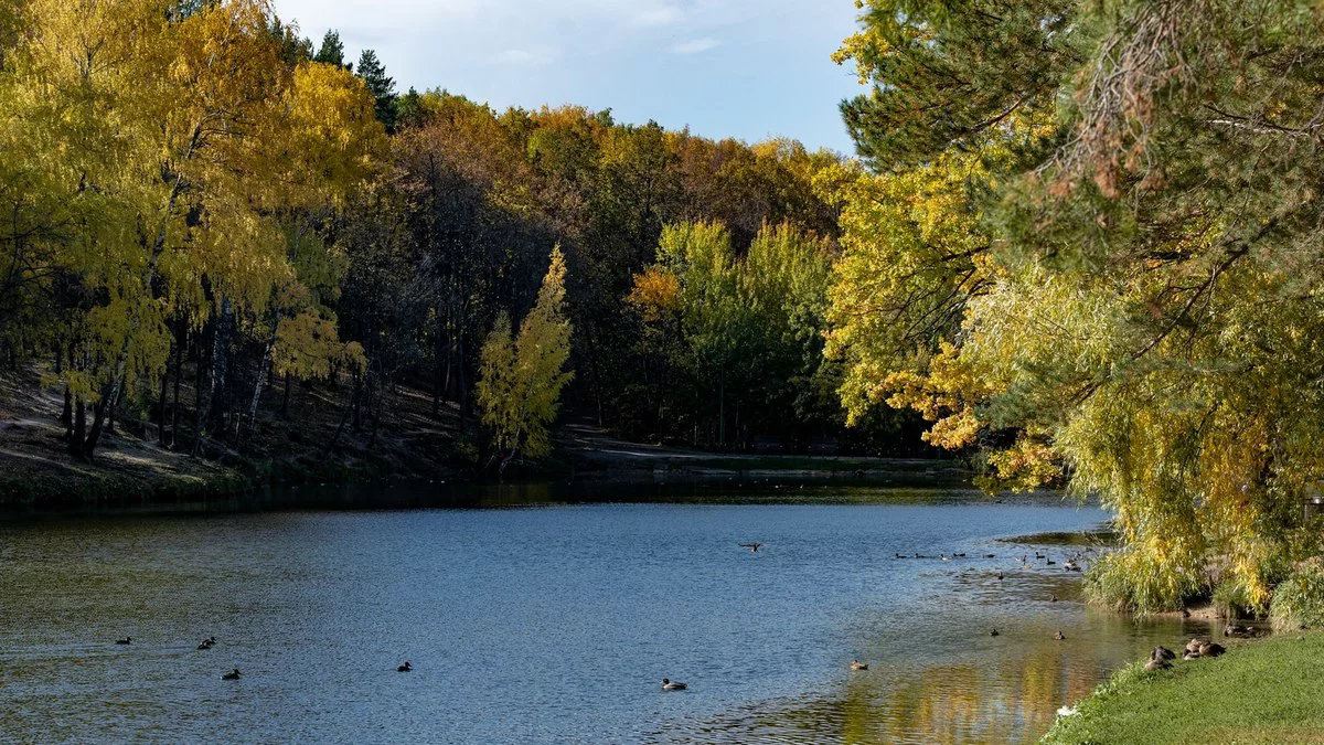 РБК Татарстан