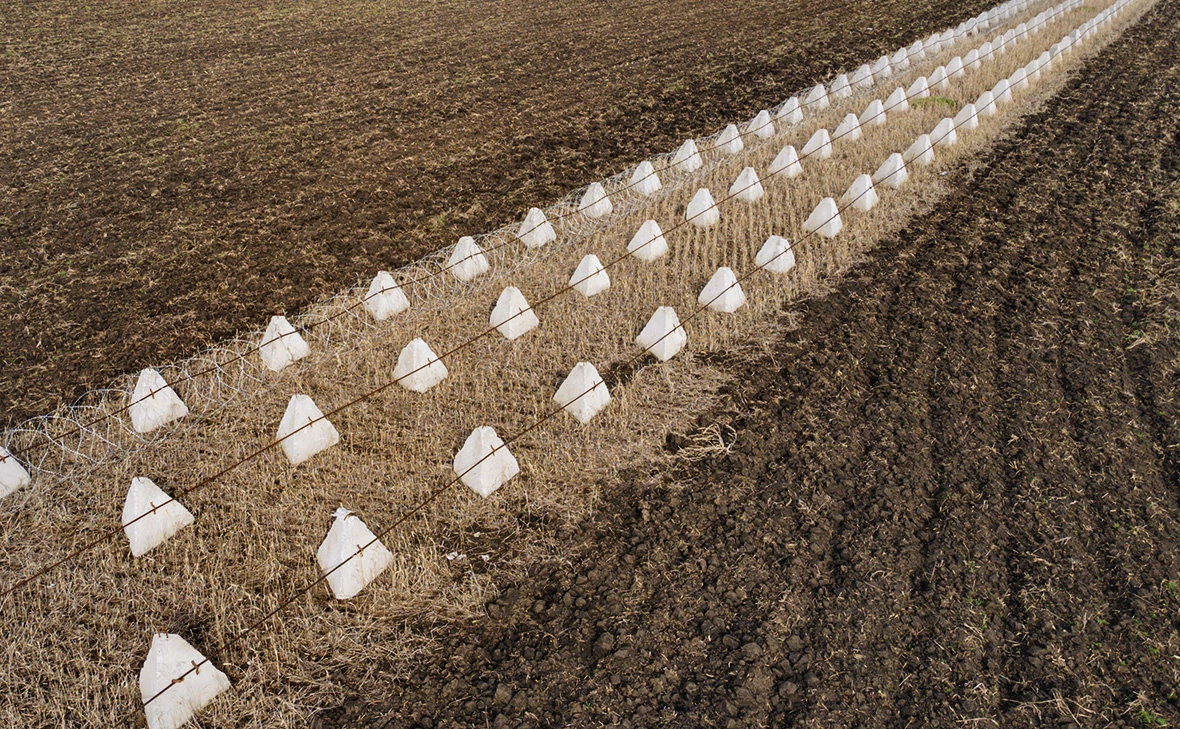 Diego Fedele / Getty Images