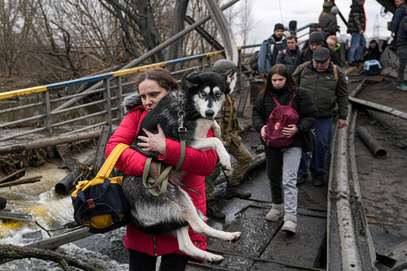 Женщина переносит собаку через импровизированный путь возле разрушенного моста в Ирпене