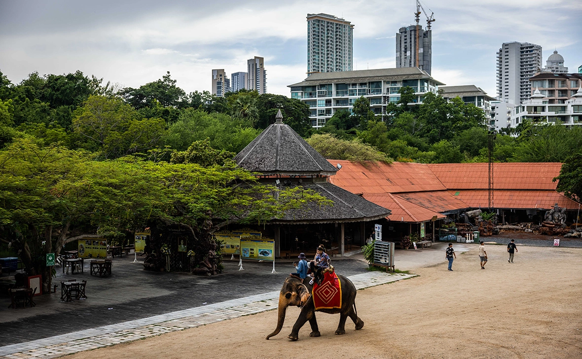 Lauren DeCicca / Getty Images