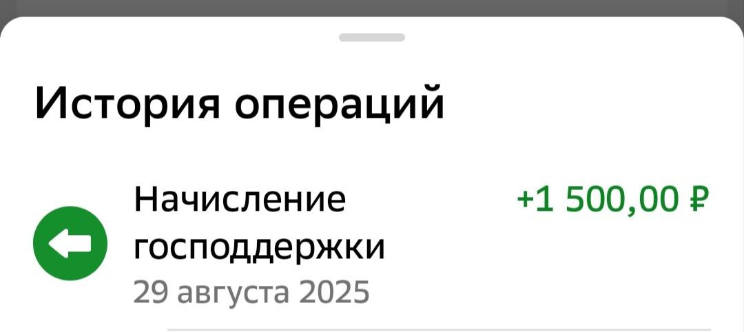 Пример начисленного государственного софинансирования на ПДС-счете