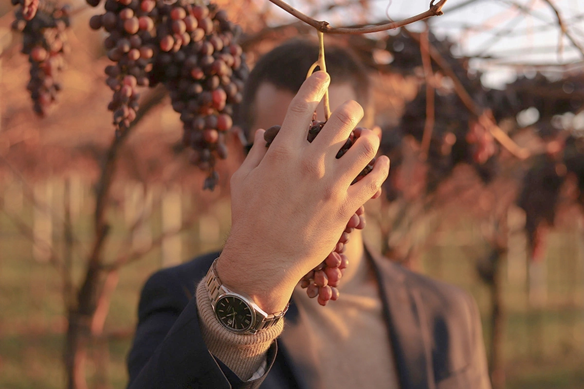 Путь в вине: виноделы и сомелье рассказали, кто предопределил их выбор