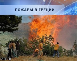 Власти Греции обещают 1 млн евро за сведения о поджигателях