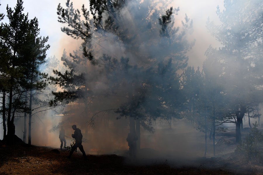 К 7 мая в Забайкальском крае действовали 22 лесных пожара, их общая площадь составила почти 39 тыс. га