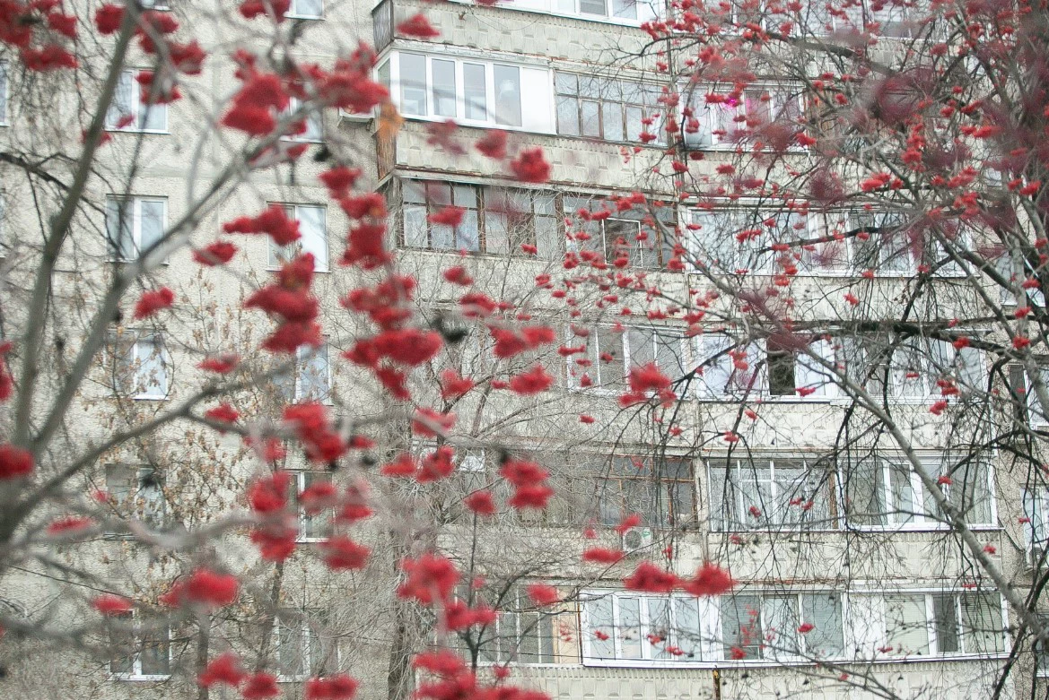 Денис Моргунов / РИА URA.RU