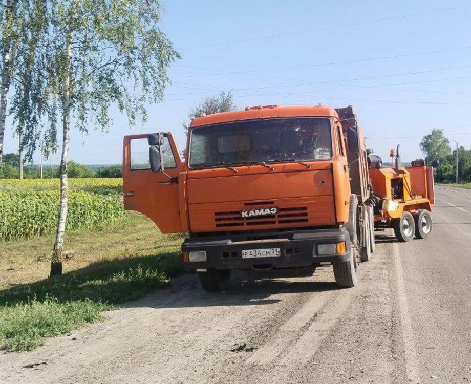 Фото: vvgladkov / Telegram